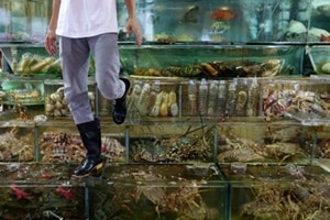 Marine products and sea feed items have now been brought under the Merchandise Exports from India Scheme (MEIS). (Reuters)