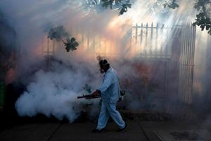 The presence of Zika virus in the WHO South-East Asia Region has been documented in recent years, including from Thailand, Indonesia, Maldives and Bangladesh. (Reuters)