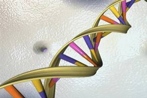 "In addition to the relevance this has to the diagnosis of developmental disorders, and potentially therapeutics, it is also a window into how the brain develops and how the brain functions," Morrow said. (Source: Reuters)