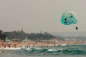 The research at Queen Mary University of London (QMUL) in the UK provides the first evidence that an enriched environment influences the function of T cells - a type of white blood cell that is essential for immunity, and involved in HIV, rheumatoid arthritis and other chronic diseases. (Source: Reuters)