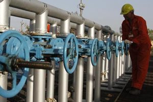 Russian Energy Minister Alexander Novak said he would make proposals to his counterpart from OPEC leader Saudi Arabia this weekend on price-supportive measures that could include an oil production freeze. (Reuters)