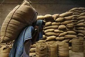 The official added, under the plan, the PDS network will act as a business correspondent for the banks. The plan is also to start a project to cover 55,000 shops soon. (Reuters) The official added, under the plan, the PDS network will act as a business correspondent for the banks. The plan is also to start a project to cover 55,000 shops soon. (Reuters)