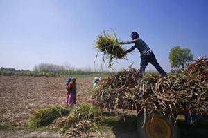At the macro level, the number of these zero-balance accounts has fallen sharply. From 76% in September 2014 to almost 46% in August 2015, then a steady fall to 24.35% on August 31, 2016. (Reuters) At the macro level, the number of these zero-balance accounts has fallen sharply. From 76% in September 2014 to almost 46% in August 2015, then a steady fall to 24.35% on August 31, 2016. (Reuters)