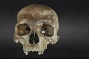 human skulls, skull, human skull sale, skull sale, sri krishna medical college and hospital muzaffarpur, muzaffarpur, bihar, nitish kumar, bihar news, bihar police, human skull for sale, buy human skull, buy human skull in Bihar