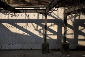 slaughter houses, yogi adityanath, slaughterhouses yogi adityanath, adityanath slaughter houses, slaughter of cow, slaughter of cattle, slaughterhouses in uttar pradesh, slaughter houses in up, slaughter houses amit shah, slaughter houses shut in up, shlaughter houses amit shah, slughter houses modi