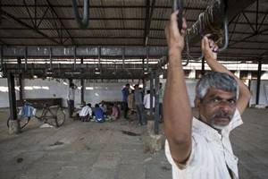 There is no getting away for some kind of registration/licence—with slaughterhouses divided into ovine (sheep), caprine (goats), suilline (pigs), bovine (cattle), poultry and fish. (Reuters) There is no getting away for some kind of registration/licence—with slaughterhouses divided into ovine (sheep), caprine (goats), suilline (pigs), bovine (cattle), poultry and fish. (Reuters)