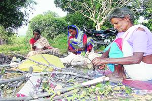 Tata Trusts rolls out smart village programme to uplift tribal life