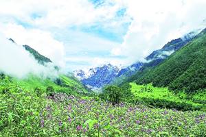 Magical mountains Himalaya: Adventures, Meditations, Life