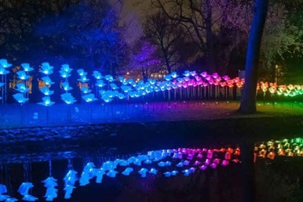 The hundreds of brightly coloured and handcrafted origami boats and butterflies along the Harbourside will take visitors on a magical journey