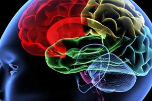 According to researchers at Stanford University in the U.S. these fluctuating patterns may explain why some people learn new tasks more quickly. (Reuters) According to researchers at Stanford University in the U.S. these fluctuating patterns may explain why some people learn new tasks more quickly. (Reuters)
