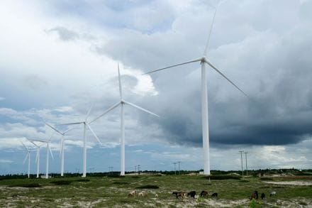 The cut in income tax rates, one of the takeaways of the Budget, might bear fruit for the renewable energy sector, experts believe. (Reuters)
