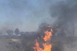 No group immediately claimed responsibility for the Faryab blast, which also killed women and children, but officials blamed Taliban militants. ( Representational Image: Reuters)