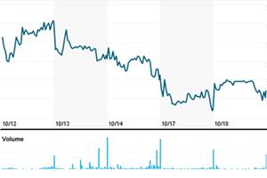 The fund manager bought bearish options in July to protect his Henderson EuroTrust Plc against a further 6.5 percent decline in the Euro Stoxx 50 Index by the end of the year, he said at a press briefing on Tuesday. (Reuters)