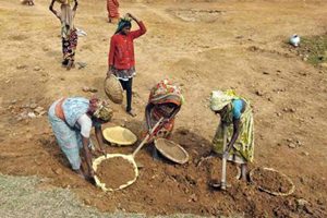 The programmes will be organised in institutes such as National Institute of Rural Development and Panchayati Raj (NIRD and PR), institutions governed by the Indian Council of Agricultural Research (ICAR) and Indian Institute of Management (IIM). (PTI)
