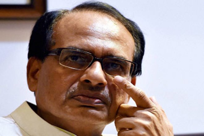 Chouhan said that in the last ten years, the irrigated land in his state had grown to 40 lakh hectare from a meagre 7.5 lakh hectare. (PTI) Chouhan said that in the last ten years, the irrigated land in his state had grown to 40 lakh hectare from a meagre 7.5 lakh hectare. (PTI)
