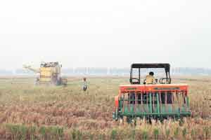 Punjab produces about 22 million tonnes of paddy straw, according to a PAU handbook. Not all of it is burned in fields.