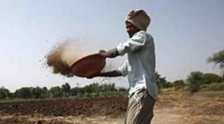 Neem-coated urea: Why is Narendra Modi govt waiting for 5 years to make India self-sufficient in fertilisers? Neem-coated urea: Why is Narendra Modi govt waiting for 5 years to make India self-sufficient in fertilisers?