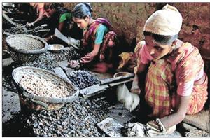 Kerala estate workers go without pay, owners warn of food crisis