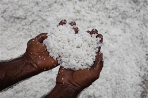 Salt shortage rumor alert in UP, price may rise to more than Rs 200, CM urges people not to pay attention Salt shortage rumor alert in UP, price may rise to more than Rs 200, CM urges people not to pay attention