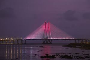 The Municipal Corporation of Greater Mumbai (MCGM) is not keen on taking over BWSL from MSRDC, although MCGM had been instructed by the state government to buy the balance concession period till 2040 for R2,800 crore. Hence, MSRDC is keen on exploring its options to raise funds for the BVSL project. (Associated Press)