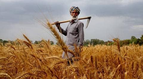 agriculture sector, rural incomes and spending, Union Budget, agri-biotech companies, CEA