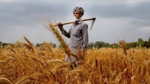 agriculture sector, rural incomes and spending, Union Budget, agri-biotech companies, CEA