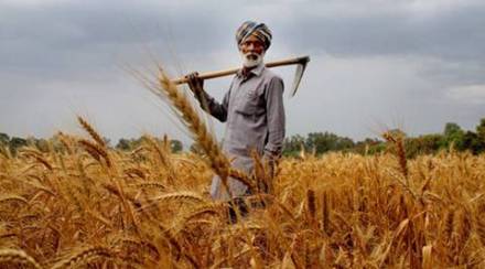 agriculture sector, rural incomes and spending, Union Budget, agri-biotech companies, CEA