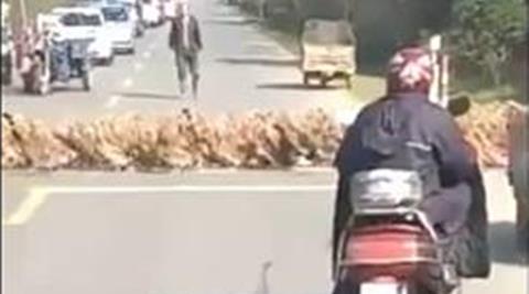 Harsh Goenka, Traffic Rules in India, Traffic India and China, Ducks, Funny Traffic Video, Urbanisation, Road Accidents