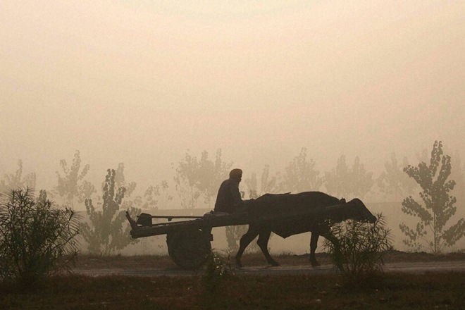 SBI has lent Rs 62,300 crore in UP, of which Rs 11,400 crore are crop loans as on Q1FY17. (PTI)