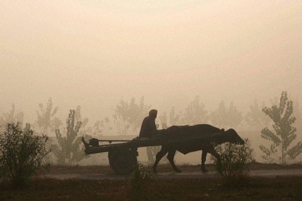 SBI has lent Rs 62,300 crore in UP, of which Rs 11,400 crore are crop loans as on Q1FY17. (PTI)