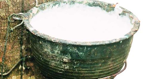 Rubber Industry in India, Rubber MSMEs, All India Rubber Industries Association