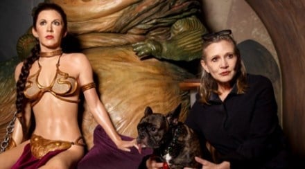 Carrie fisher, star wars, princess leia, a new hope, leia organa, han solo, harrison ford, luke skywalker, darth vader, mark hamill, carrie fisher death, carrie fisher dead, carrie fisher heart attack, carrie fisher passes away, carrie fisher twitter, carrie fisher tributes, carrie fisher died, carrie fisher boyfriend, carrie fisher husband, princess leia bikini, princess leia gold bikini, force awakens, carrie fisher force awakens, empire strikes back, star wars triology, star wars prequels, star wars series, star wars movies, star wars actress, force awakens actress, hollywood, hollywood news, bollywood, bollywood news, entertainment, entertainment news, movies, movies news Carrie fisher, star wars, princess leia, a new hope, leia organa, han solo, harrison ford, luke skywalker, darth vader, mark hamill, carrie fisher death, carrie fisher dead, carrie fisher heart attack, carrie fisher passes away, carrie fisher twitter, carrie fisher tributes, carrie fisher died, carrie fisher boyfriend, carrie fisher husband, princess leia bikini, princess leia gold bikini, force awakens, carrie fisher force awakens, empire strikes back, star wars triology, star wars prequels, star wars series, star wars movies, star wars actress, force awakens actress, hollywood, hollywood news, bollywood, bollywood news, entertainment, entertainment news, movies, movies news