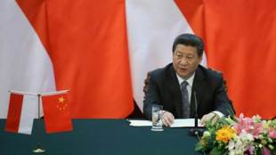 china, xi jinping, family values, chines president, chinese nationalism, communist party of china, india, global times, xinhua, world news, cpc, cpc news, india news