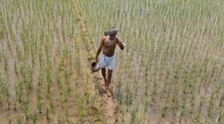 Vegetable Growers Association of India, Demonetisation, Indian Farmers, Tomato Farms, wholesale markets Vegetable Growers Association of India, Demonetisation, Indian Farmers, Tomato Farms, wholesale markets