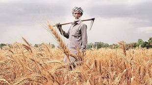 Demonetisation, Indian Farmers, kharif harvest, agricultural sector, ICAR