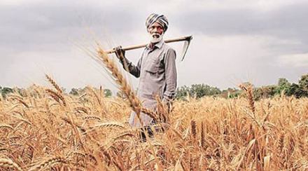 Demonetisation, Indian Farmers, kharif harvest, agricultural sector, ICAR