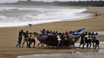 A bumper harvest of pearl spot (Karimeen) by a tribal community in the cage culture project of Central Marine Fisheries Research Institute has left them ecstatic and ready to ring in the new year with joy. (PTI)