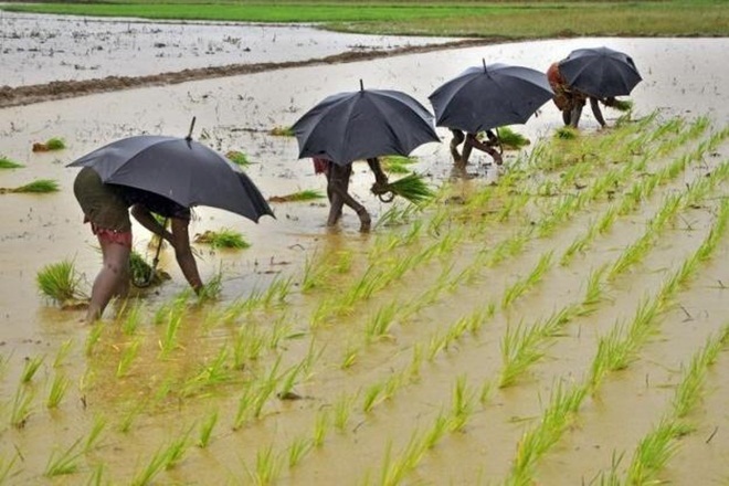 India Meteorological Department on Tuesday predicted that Southwest Monsoon will be "normal" this year and the country will receive 96 per cent of Long Period Average. India Meteorological Department on Tuesday predicted that Southwest Monsoon will be "normal" this year and the country will receive 96 per cent of Long Period Average.