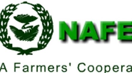 Breather for debt-hit Nafed, Centre to provide Rs 478 cr interest-free loan