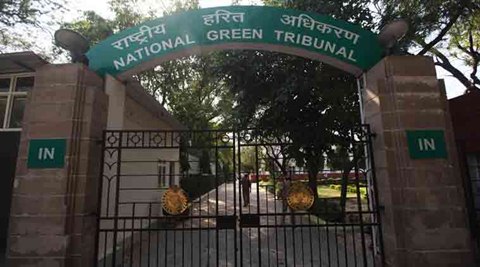 The green panel also directed the Delhi government to place on record the order of Delhi High Court which asked the authorities to remove the garbage in the trans Yamuna area. (PTI) The green panel also directed the Delhi government to place on record the order of Delhi High Court which asked the authorities to remove the garbage in the trans Yamuna area. (PTI)