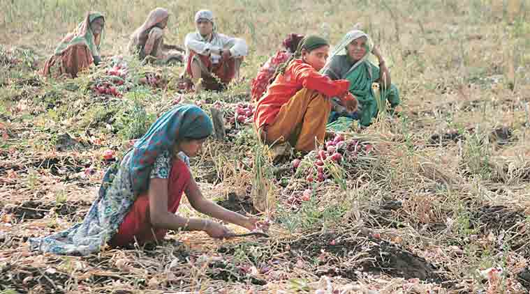 Railways to provide 3 rakes for onion transport - Commodities News ...