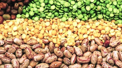 As farmers since last one week have began bringing in kharif harvest to mandis, the tur or arhar prices have fallen below MSP of R5,050 per quintal in most of the centres across three states. In the last couple of days, Nafed has purchased more than 88 tonne of tur from the farmers. As farmers since last one week have began bringing in kharif harvest to mandis, the tur or arhar prices have fallen below MSP of R5,050 per quintal in most of the centres across three states. In the last couple of days, Nafed has purchased more than 88 tonne of tur from the farmers.