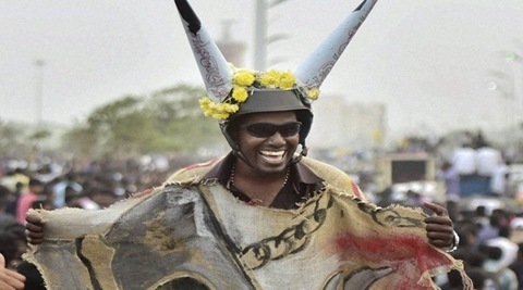 jallikattu ban, jallikattu, supreme court jallikattu ruling, PETA, marina beach protests, jallikattu protest, bull taming jallikattu, pongal celebrations, tamil nadu protests jallikattu, chennai protests jallikattu