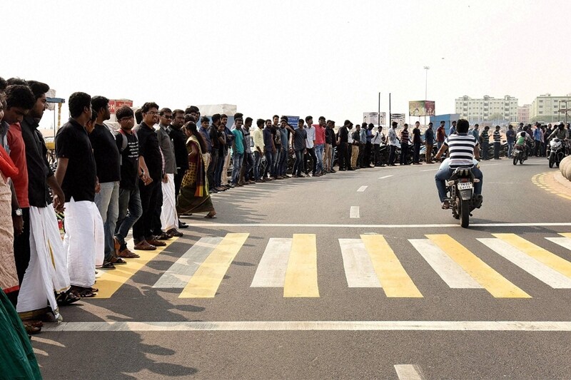 jallikattu ban, jallikattu supreme court, pongal controversy, jallikattu protests, tamil nadu protests jallikattu, marina beach jallikattu, jallikattu tradition, india news, jallikattu tamil nadu government