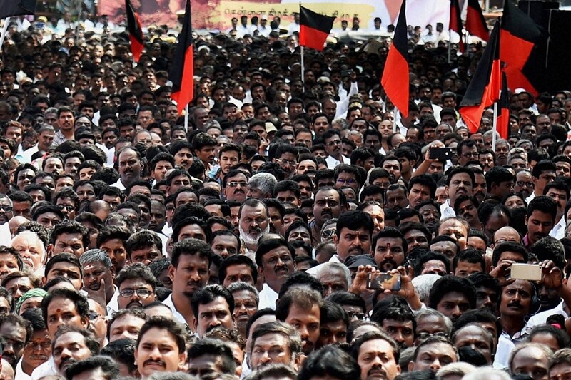 jallikattu ban, jallikattu, supreme court jallikattu ruling, PETA, marina beach protests, jallikattu protest, bull taming jallikattu, pongal celebrations, tamil nadu protests jallikattu, chennai protests jallikattu