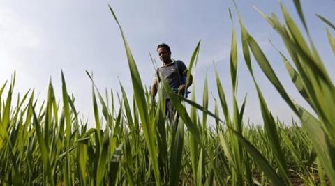 Agriculture: If PMO doesn’t pay heed, realising ‘sabka saath, sabka vikas, eliminating poverty may remain distant dream Agriculture: If PMO doesn’t pay heed, realising ‘sabka saath, sabka vikas, eliminating poverty may remain distant dream