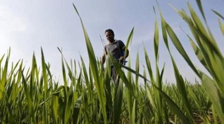 Agriculture: If PMO doesn’t pay heed, realising ‘sabka saath, sabka vikas, eliminating poverty may remain distant dream Agriculture: If PMO doesn’t pay heed, realising ‘sabka saath, sabka vikas, eliminating poverty may remain distant dream