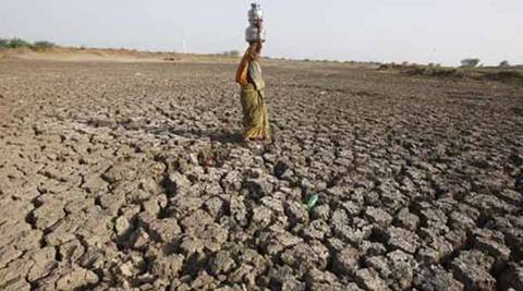 Farmer Suicide case in India, farmer-suicides narrative, National Crime Records Bureau, Farmer Suicide case in Maharashtra
