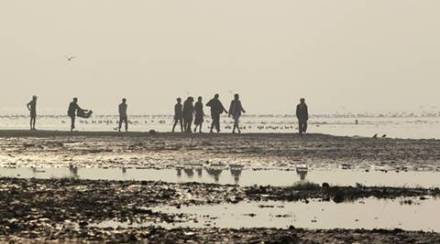 Bihar faced one of its worst floods as Ganga swelled in August last year, claiming lives of over 20 persons and affecting 20 lakh people. (Reuters)