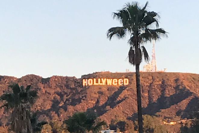 The prankster was dressed in black and was recorded by security cameras in the area changing the sign early New Year's Day. (Twitter)